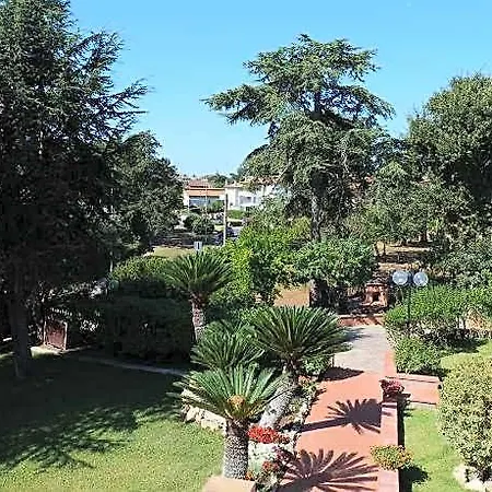 Il Sogno Delle Rondini