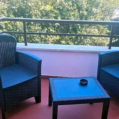 Il Sogno Delle Rondini