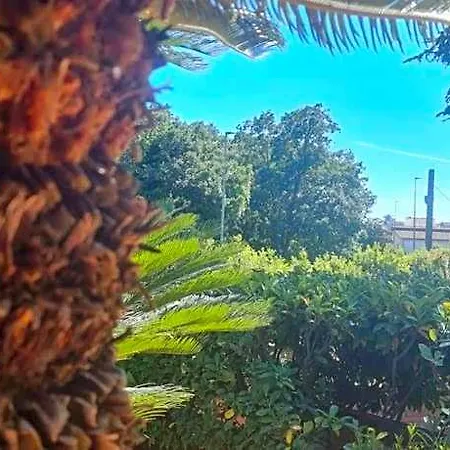 Hotel Il Sogno Delle Rondini Cerveteri